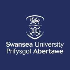 BSc (Hons) Business Management (Business Analytics) with a Year In Industry